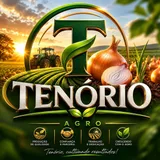 Logo Tenório Agro